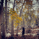 Walking in Pando.